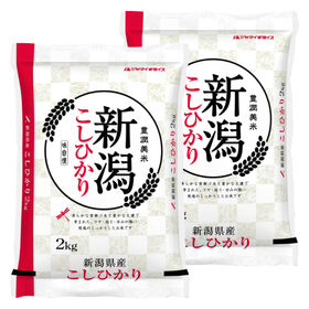 【計4kg(2kg×2袋)】新米 令和6年産 新潟県産コシヒカリ 白米 | 言わずと知れた人気のお米!! 新潟県産 コシヒカリ