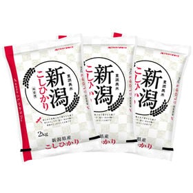 【計6kg(2kg×3袋)】新米 令和6年産 新潟県産コシヒカリ 白米 | 言わずと知れた人気のお米!! 新潟県産 コシヒカリ