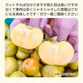 【約2.5kg】香川県 千疋の太秋柿 ご家庭用・小さなサイズ不揃い