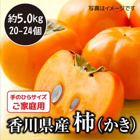 【予約受付】10/25~順次出荷【約5.0kg】香川県産柿(ご家庭用・サイズ混合)