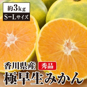 【予約受付】9/27~順次出荷【約3kg(S-L)】お求めやすい 香川県産 秀品 極早生みかん