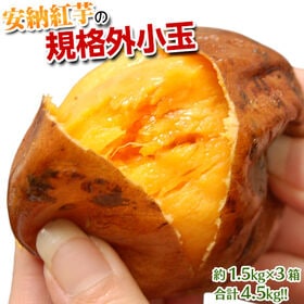 【予約受付】10/14~順次出荷【4.5kg/約1.5kg×...