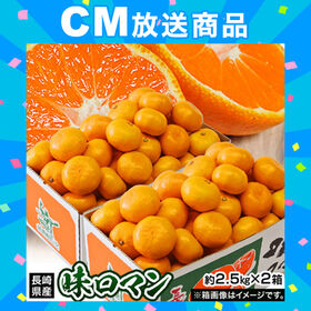 【予約受付】1/6~順次出荷【計約5kg/約2.5kg×2箱】長崎県産 極甘みかん 味ロマン | 糖度は特秀品クラスの甘いみかん！ちょっと傷あり