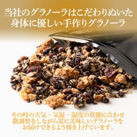 【600g】贅沢リッチグラノーラ(300g×2)