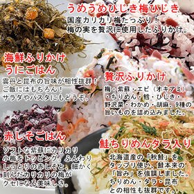 【5種/各1袋】人気の半生ふりかけ全5種☆食べ比べ♪「ほかほかご飯」「おにぎり」「お茶漬け」計5袋