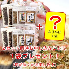 【5種/各1袋】人気の半生ふりかけ全5種☆食べ比べ♪「ほかほかご飯」「おにぎり」「お茶漬け」計5袋