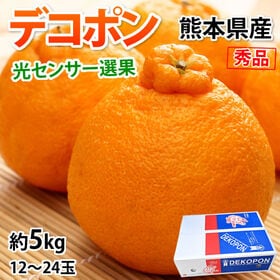 【予約受付】12/5~順次出荷【約5kg】デコポン 光センサ...