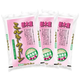 【計9kg/3kg×3袋】新米 令和6年産 栃木県産 ミルキークイーン 白米 | 産地直送・産地精米！栃木県産ミルキークイーン