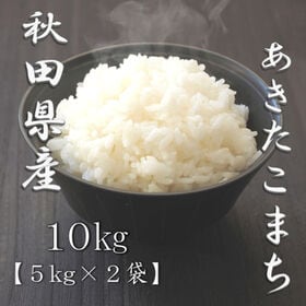 【計10kg/5kg×2袋】新米 令和6年産 秋田県産 あきたこまち 白米