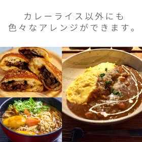 【200g×20袋】ニチレイ ビーフカレー Restaurant Use Only 中辛