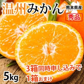 【予約受付】11/21~順次出荷【約5kg】 温州みかん 秀...