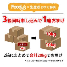 【予約受付】11/21~順次出荷【約5kg】 温州みかん 秀品 熊本県産