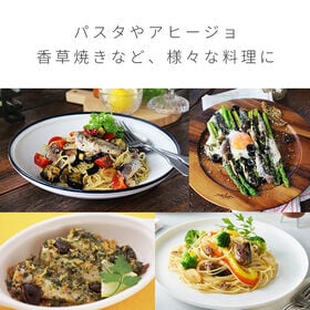 【100g×28缶】まいわし油漬 エキストラバージンオイル