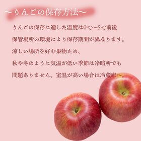 【長野/青森】10kg  旬の赤りんご