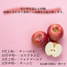 【長野/青森】10kg  旬の赤りんご