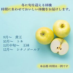 【長野/青森】1.2kg  旬の青りんご