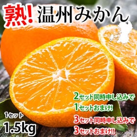 【予約受付】11/19~順次出荷【約1.5kg】温州みかん 熊本県産 (ご家庭用・傷あり) | 2セット同時お申込みで1セットおまけ・3セット同時お申込みなら3セットおまけ増量♪