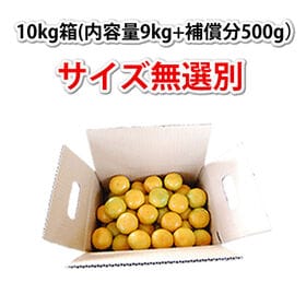 【予約受付】11/19~順次出荷【箱込約10kg】熊本みかん (ご家庭用・傷あり)