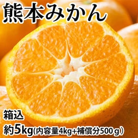 【予約受付】11/19~順次出荷【箱込約5kg】熊本みかん (ご家庭用・傷あり)