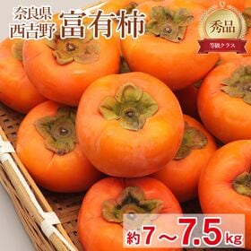 【予約受付】11/10~順次出荷【約7~7.5kg】「秀品」大きさお任せ 富有柿 | 日本で最もポピュラーな完全甘柿