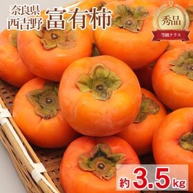 【予約受付】11/10~順次出荷【約3.5kg】「秀品」大きさお任せ 富有柿 | 日本で最もポピュラーな完全甘柿