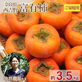 【予約受付】11/10~順次出荷【約3.5kg】大きさお任せ 富有柿 ご家庭用 | 日本で最もポピュラーな完全甘柿