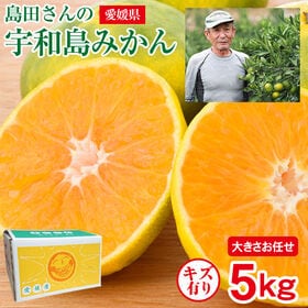 【予約受付】11/15~順次出荷【5kg】愛媛県産 宇和島みかん (ご家庭用、傷あり)