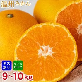 【予約受付】11/10~順次出荷【9~10kg】厳選 温州みかん(傷あり) | 和歌山・唐津・福岡・熊本厳選！！みかんの季節便り 温州みかんをお楽しみください