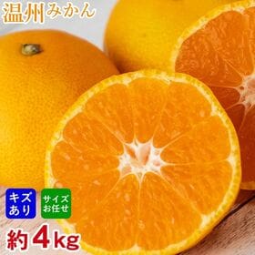 【予約受付】11/10~順次出荷【約4kg】厳選 温州みかん(ご家庭用・傷あり) | 和歌山・唐津・福岡厳選！！みかんの季節便り 温州みかんをお楽しみください