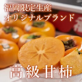 【予約受付】10月下旬~順次出荷【福岡】3kg　秋王（種なし甘柿）