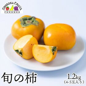 【九州】1.2kg　旬の柿