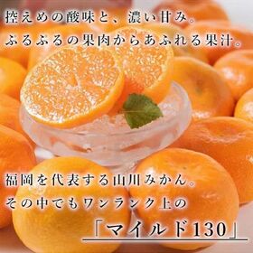 【予約受付】10月下旬~順次出荷【福岡】約2kg　山川みかん マイルド130