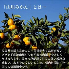 【予約受付】10月下旬~順次出荷【福岡】約2kg　山川みかん マイルド130