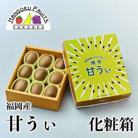 【予約受付】10月下旬~順次出荷【福岡】9玉入り化粧箱　甘うぃ(キウイ)