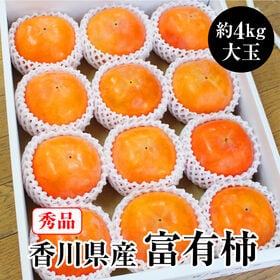 【予約受付】11/15~順次出荷【秀品 大玉約4.0kg】香川県産 富有柿