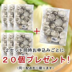 【計60個】黄金色のスープがじゅわっと溢れ出る「旨味たっぷり小籠包」☆本格中華点心！