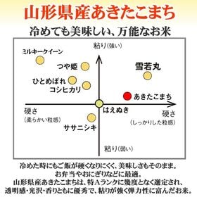 【5kg】令和6年産 山形県産 あきたこまち (玄米)