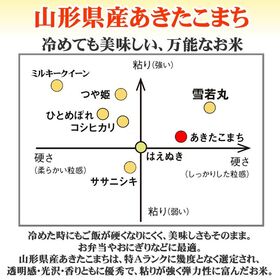 【10kg】令和6年産 山形県産 あきたこまち (玄米)