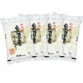 【計8kg/2kg×4袋】新米 令和6年産 新潟県魚沼産コシヒカリ 白米 | おいしいお米「新潟県魚沼産」コシヒカリ！