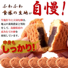 【個包装】ふわふわ生地のミニたい焼き たい焼き タイヤキ (あずき 5個 カスタード 5個)