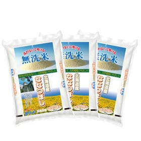 【計6kg/2kg×3袋】新米 令和6年産 北海道産ななつぼし 無洗米 | 北海道自慢のお米!! 無洗米 北海道産 ななつぼし