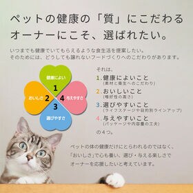 【3種計9個】デビフ Kariyudo カリユド シニア 猫用 ビーフ ささみ チキン