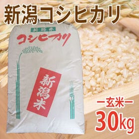 【30kg (30kg×1袋)】令和6年産 新米  特選新潟...