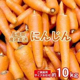 【予約受付】11/15~順次出荷【約10kg】長崎にんじん （ご家庭用） | 産地直送!農家さんからお届け♪