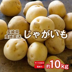 【予約受付】11/30~順次出荷【約10kg】秋の新じゃが ...