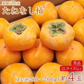 【予約受付】10/15~順次発送【約4玉/2Lサイズ】≪秀品≫ 和歌山県 たねなし柿 | 口当たりはまろやかで果汁豊富な柿をお楽しみください。