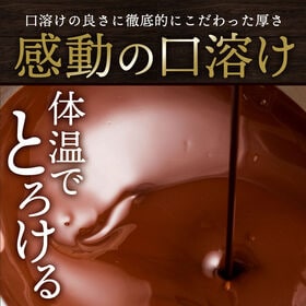 【計400g(200g×2)】割れチョコ(ミルク ザッハトルテ)