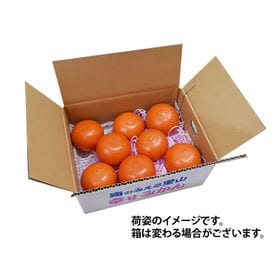 【予約受付】12/10~順次出荷【2kg】みはや 秀品 熊本県産