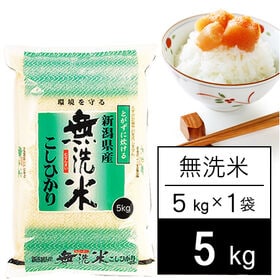 【5kg】 令和6年産 越後の米 新潟県産 コシヒカリ 無洗米 | 美味しく実りました