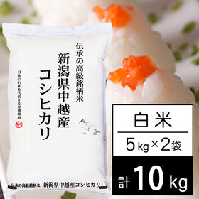 【計10kg/5kgx2袋】 令和6年産 越後の米 新潟県産 コシヒカリ 白米 | 美味しく実りました